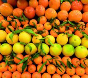 Cofrumark desarrolla distintas acciones para ganar dimensión