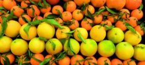 Cofrumark desarrolla distintas acciones para ganar dimensión