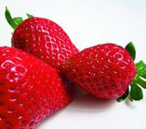 Onubafruit crece un 6% y reestructura su accionariado