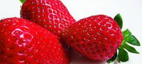 Onubafruit crece un 6% y reestructura su accionariado