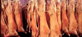 El Matadero de Mavisa vuelve a cambiar de manos y recupera actividad