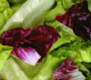 Langmead España escinde su actividad hortícola