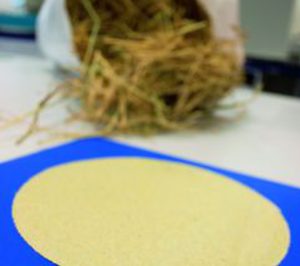 Itene desarrolla pasta de papel a partir de residuos agrícolas
