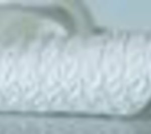 Levacel proyecta incrementar sus ingresos durante 2011