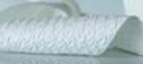 Levacel proyecta incrementar sus ingresos durante 2011