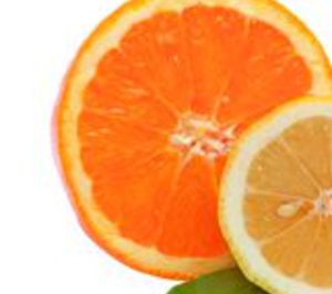 Beato Carmelo cede la manipulación a Llutxent Otos