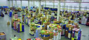 Logística y grupaje frigoríficos: La externalización compensa al sector