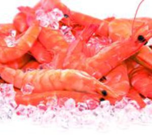 Congelados (Foodservice): Exprimen su potencial