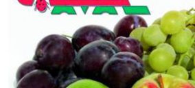 Frutos Caval presenta concurso voluntario y un ERE para su plantilla