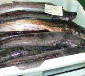 POSA finaliza su planta de pescado