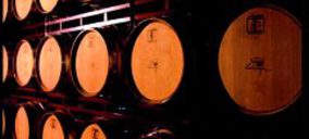 Bodegas Langa, 350.000 € en mejoras enoturísticas