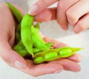 La israelí Frutarom se hace fuerte en Norteamérica