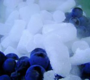Chinchilla Wines incorpora la técnica del hielo seco