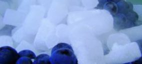 Chinchilla Wines incorpora la técnica del hielo seco