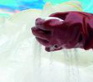 Detervic pone fin a los descensos