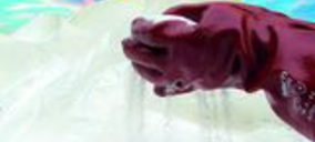 Detervic pone fin a los descensos