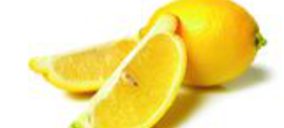 Finaliza la campaña del limón con un 36% más de producción