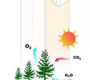 El cartón para bebidas avanza en sus objetivos de trazabilidad