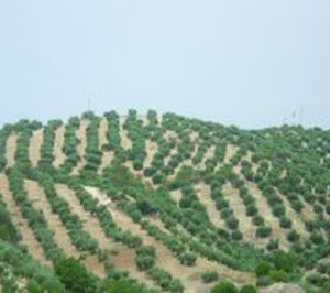 Faeca urge a la activación del almacenamiento privado para el aceite