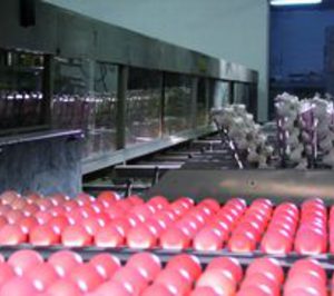 Guissona integrará otra granja de gallinas para abastecer a ‘BonÁrea’