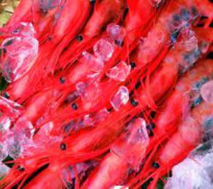 Grupo Moray se hace con Pescados Gutiérrez y amplía su planta