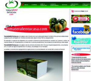 Agroponiente abre una tienda online para la venta de tomate raf