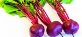 Huercasa presenta su remolacha cocida en un nuevo envase