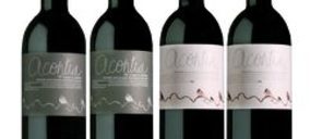 Cepas y Bodegas define su proyecto en Morales de Toro