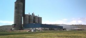 Una molienda paraliza su proyecto de fábrica integral