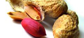 Frutos Secos: El retail genera ya el 45% del consumo