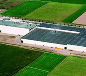 ICT ejecuta su proyecto expansivo comprando el terreno anexo a sus instalaciones 