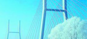 Acciona eleva su cartera de obra exterior un 62%