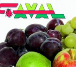 Admitido el concurso de Frutos Caval