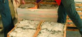 El envase de madera fomenta su uso para productos pesqueros