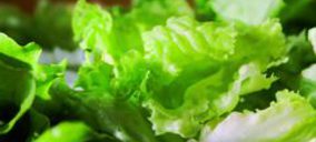 La IV gama avanza impulsada por la marca de distribuidor