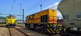 Fomento apuesta por una nueva línea de mercancías entre Murcia y Alicante