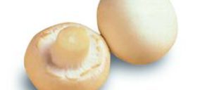 Conservas Ferba moderniza sus líneas