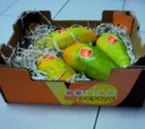 Bargosa añade papaya nacional y melón de alta gama a su oferta