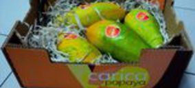 Bargosa añade papaya nacional y melón de alta gama a su oferta