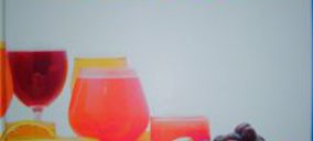 El Libro del Zumo, más que una referencia para el sector