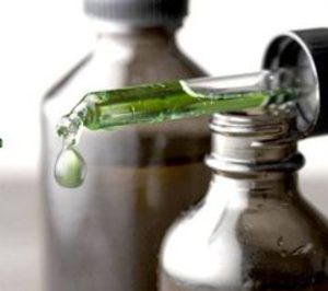 Mane Ibérica prevé un fuerte incremento