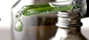 Mane Ibérica prevé un fuerte incremento