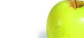 Girona Fruits creció un 14% en 2010 y prevé un aumento del 7% para esta campaña