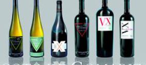 Coto de Imaz recurrirá la sentencia de la UE sobre su marca