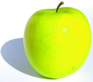 Giropoma anuncia inversiones para la protección de sus cultivos