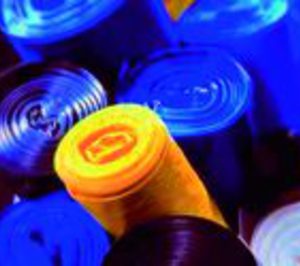 Saplex registra un buen ejercicio 2010