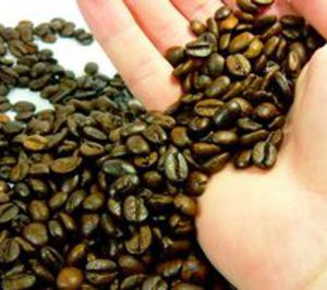 Coffee Productions espera crecer a doble dígito en 2011