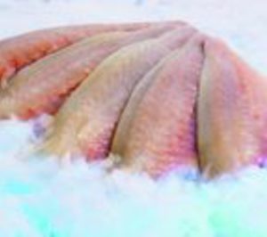 La canaria Belowpesca solicita concurso de acreedores