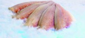 La canaria Belowpesca solicita concurso de acreedores