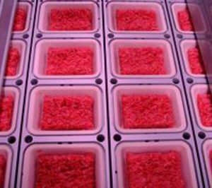 Embutidos F. Martínez añade una segunda fase a su plan inversor